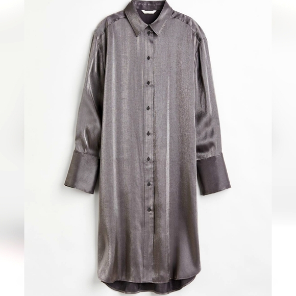 Oversize Metalic Shirt dress - Picture 1 of 7